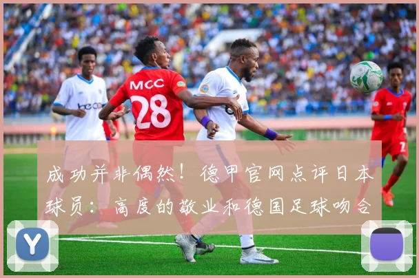 成功并非偶然！德甲官网点评日本球员：高度的敬业和德国足球吻合