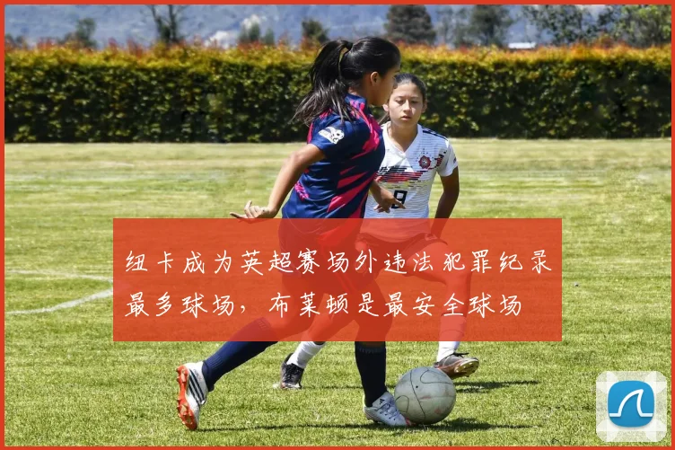 纽卡成为英超赛场外违法犯罪纪录最多球场，布莱顿是最安全球场