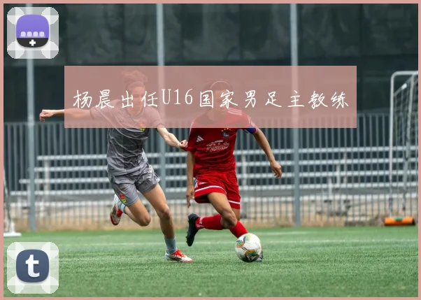 杨晨出任U16国家男足主教练
