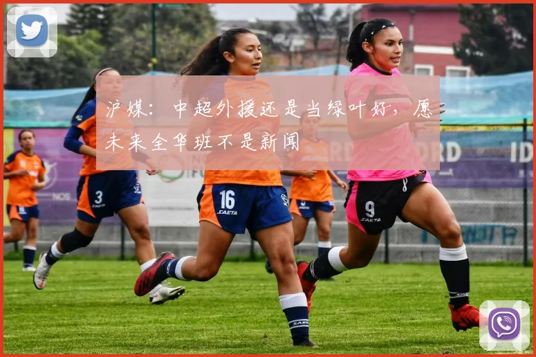 沪媒：中超外援还是当绿叶好，愿未来全华班不是新闻