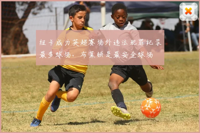 纽卡成为英超赛场外违法犯罪纪录最多球场，布莱顿是最安全球场