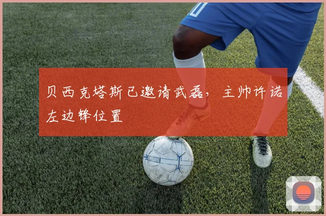 贝西克塔斯已邀请武磊，主帅许诺左边锋位置